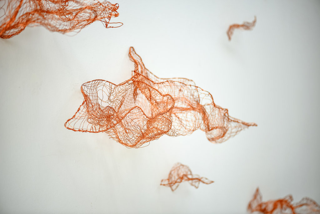 Joanna-Skurska-Flyers-and-Clouds-2-ca-250x350-cm-copper-wire-2016.jpg