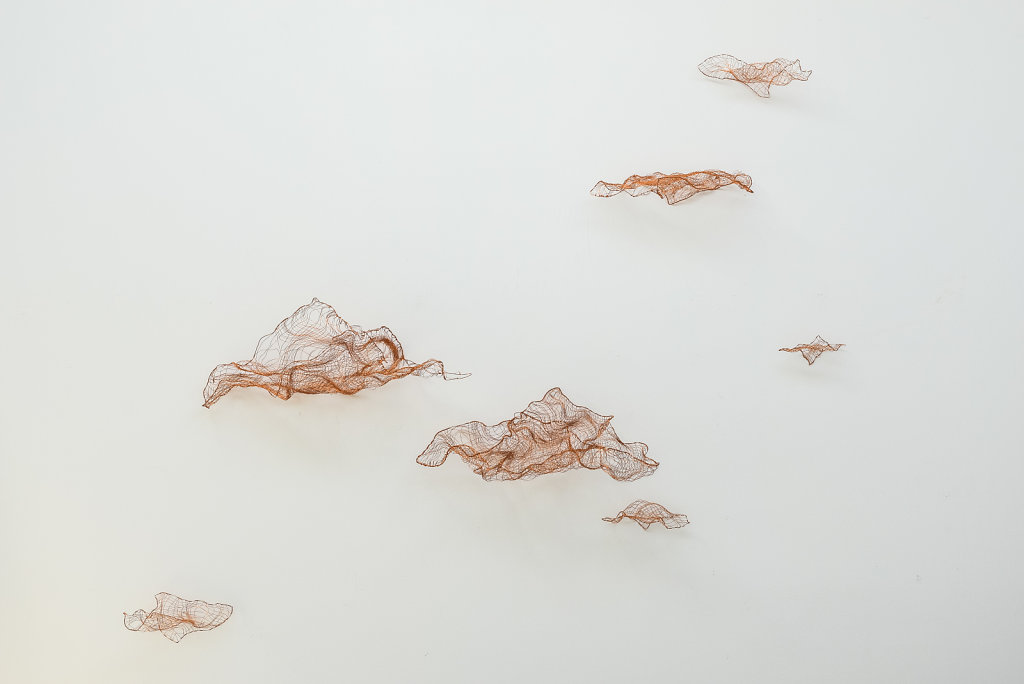 Joanna-Skurska-Flyers-and-Clouds-3-ca-250x350-cm-copper-wire-2016.jpg