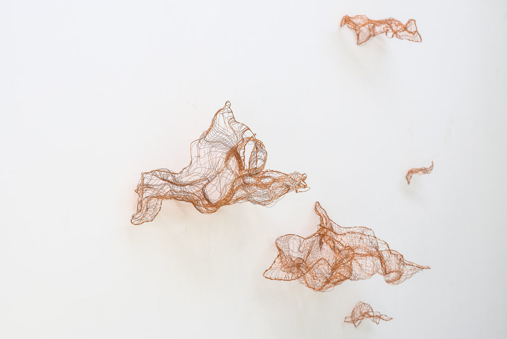 Joanna-Skurska-Flyers-and-Clouds-Details-2-ca-250x350-cm-copper-wire-2016.jpg